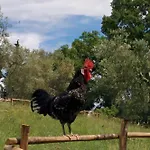 L'accolta *