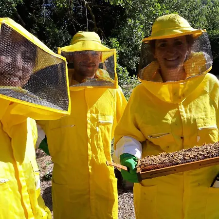 L'accolta Διαμέρισμα Tuoro sul Trasimeno