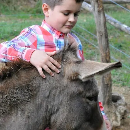 Διαμέρισμα L'accolta