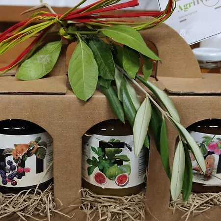 Διαμέρισμα L'accolta