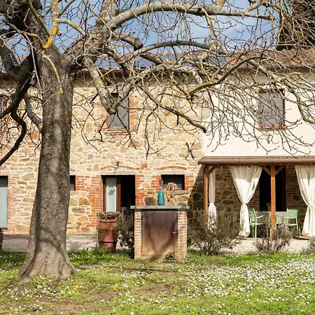 L'accolta 투오로술트라시메노