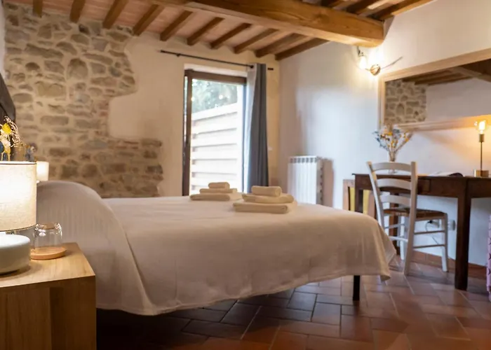 L'accolta 투오로술트라시메노