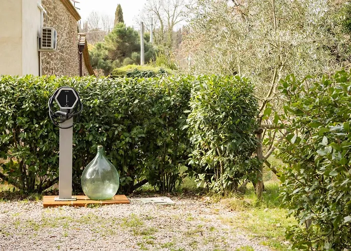 L'accolta 투오로술트라시메노