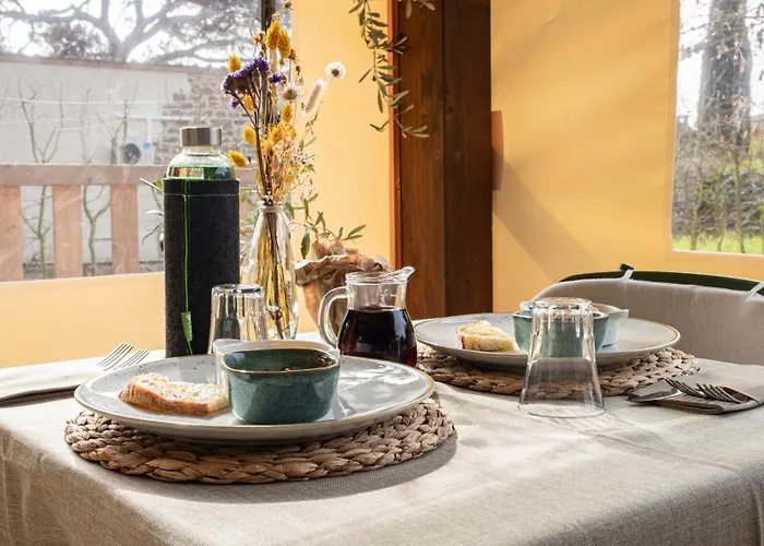 L'accolta 투오로술트라시메노